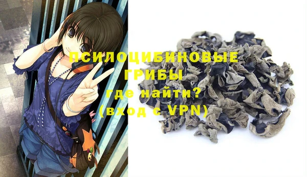 стафф Белокуриха