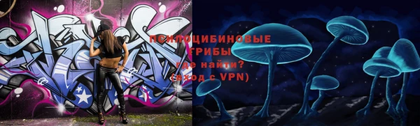 стафф Белокуриха