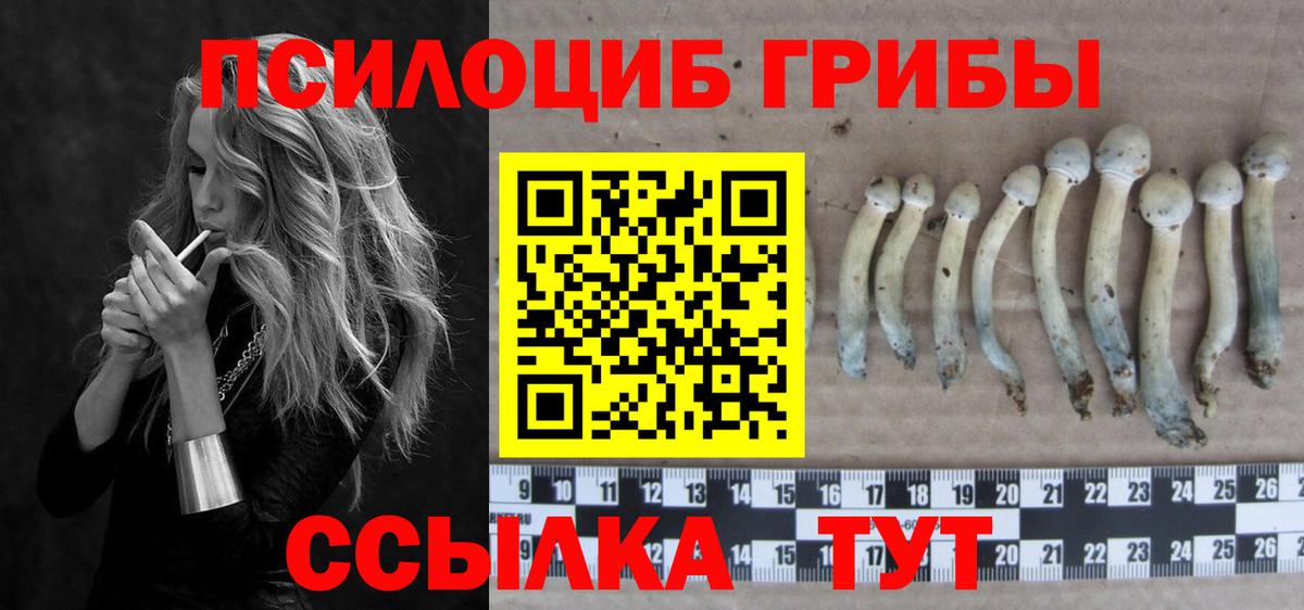 Псилоцибиновые грибы MAGIC MUSHROOMS  Псилоцибиновые грибы Psilocybine cubensis  наркошоп  Вход с VPN  Верхняя Пышма 